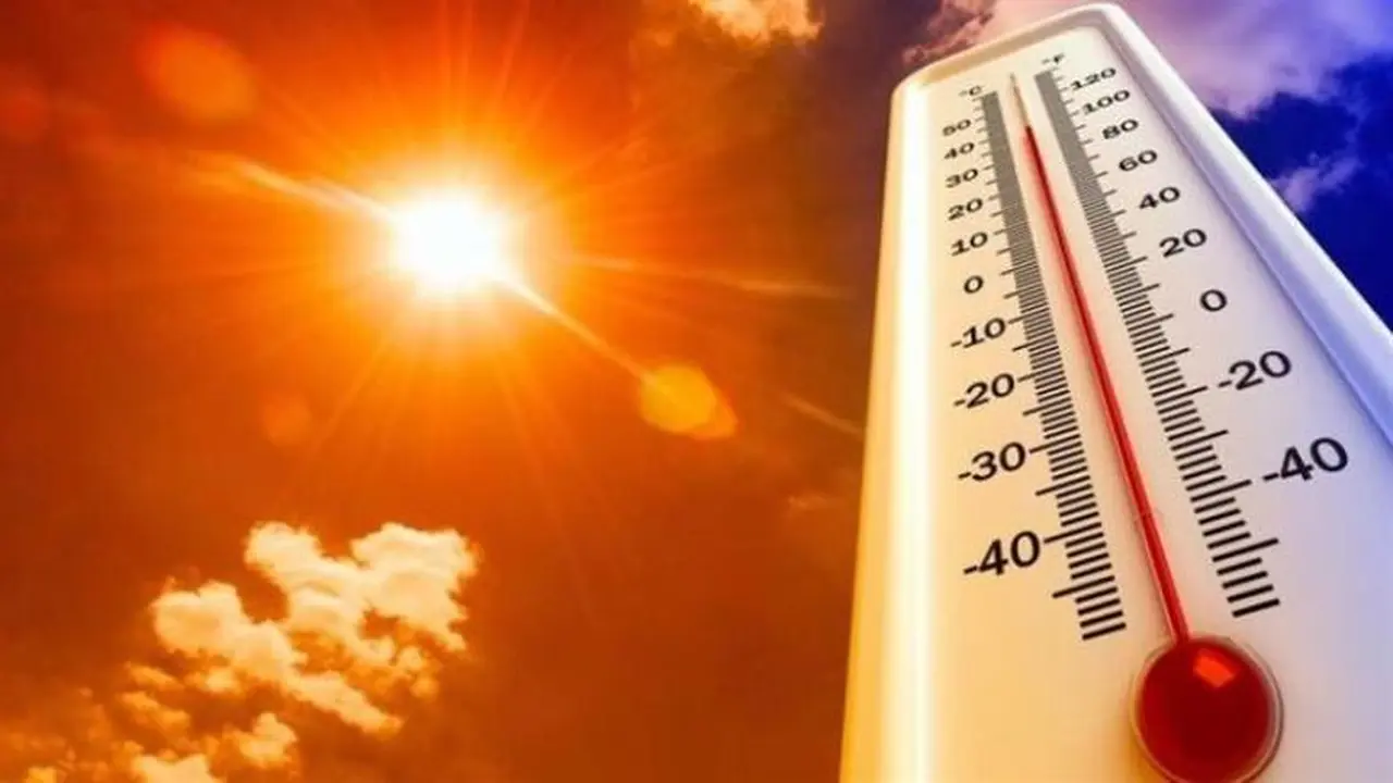 موجة حر خانقة تضرب الجزائر مع تسجيل 49 درجة في الجنوب